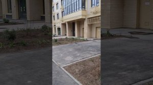 Выхино новая реальность