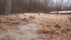 релаксирующее видео