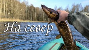 Путешествие на север в поисках крупных щук