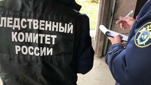 Школьница забила до смерти молотком семилетнюю девочку в Бердянске
