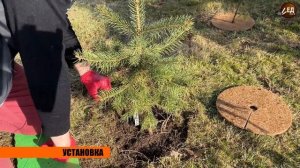 ПРИСТВОЛЬНЫЙ КРУГ для деревьев КОКОС