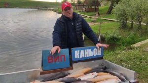 Рыбалка на форель.