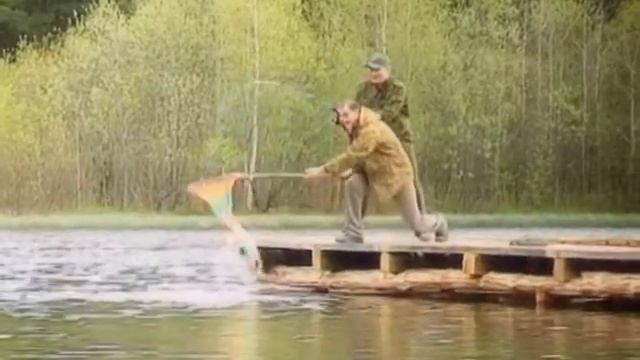 Вектор 2006 смотреть онлайн