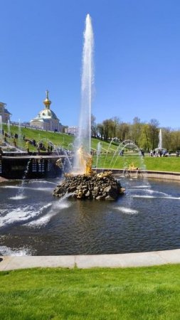 Петергоф 19.05.25.
