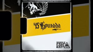 45 Бригада