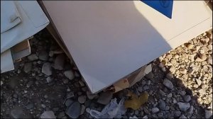 Барахолка в Сербии: находки COS, Monki и Peter Khan с Talbot Runhof + ра