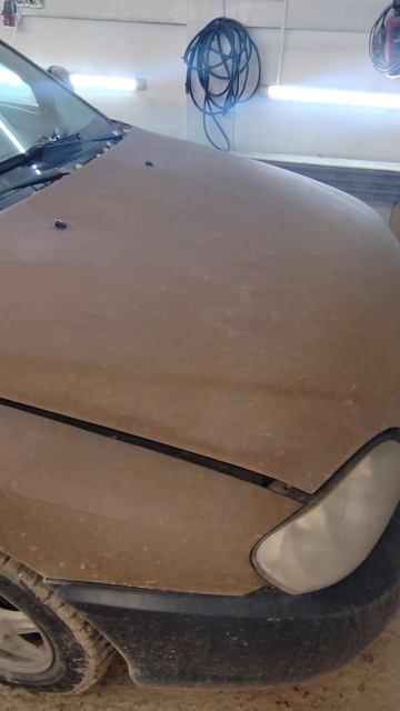 не покрасил вовремя #прикол #авто #авторемонт #спб #пес? смотреть онлайн