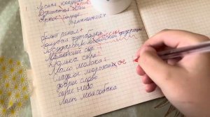 Проверка тетрадей 1 класс.