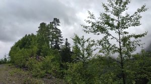 Туман над тайгой. Нанцы. Обильная. Приморье.