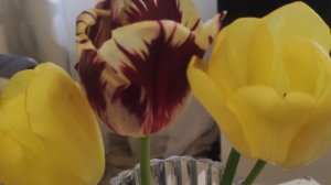 Завтрак😋Не пойму я, то ли собаки🐕 гавкают,то ли "плеть" шумит...🤦.