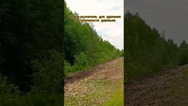 Фреза-рыхлитель для удаления растительности деревьев смотреть онлайн