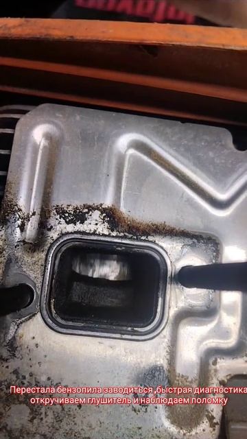 новинка#штиль#ремонт#поломка#глушитель#перегрев#смаз? смотреть онлайн