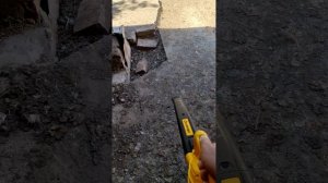 Демонстрация работы электрической воздуходувки Champion