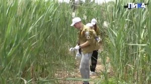 Всегда к Дону было уважительное отношения у казаков