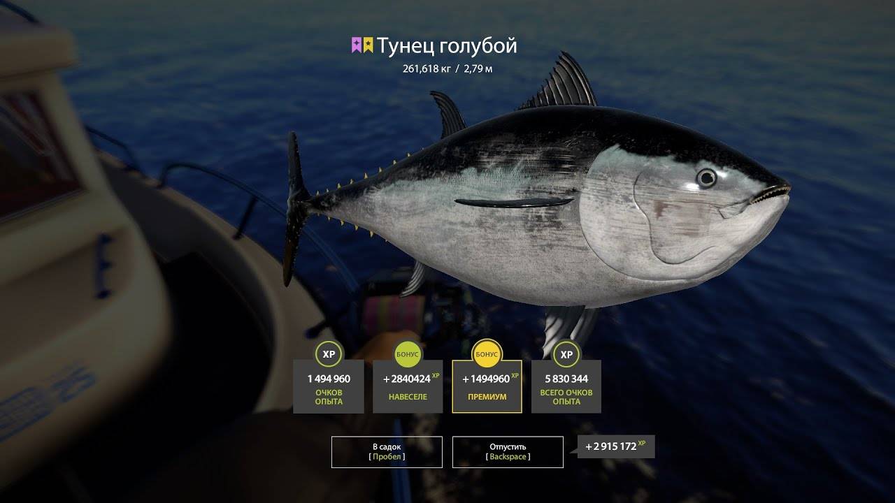 Трофейный Тунец Голубой в троллинге по 80 яме смотреть онлайн