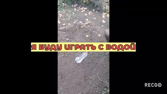 СКОЛЬКО НУЖНО УДАРОВ ТОПОРОМ ПО БУТЫЛКЕ?!🙄😲 смотреть онлайн