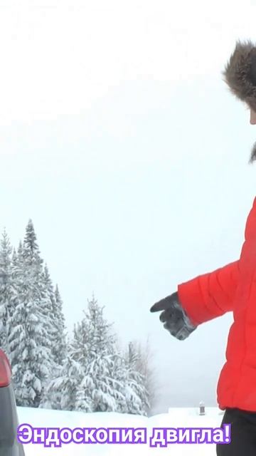 работа двигателя! #эндоскопия #проверка #запчасти #тес?