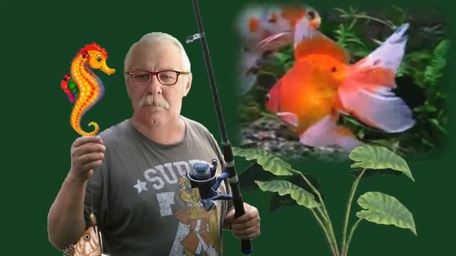 Новая презентация конёк смотреть онлайн