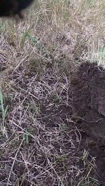 Думал откoпал монету, а тут... #металлоискатель #коп #пои смотреть онлайн