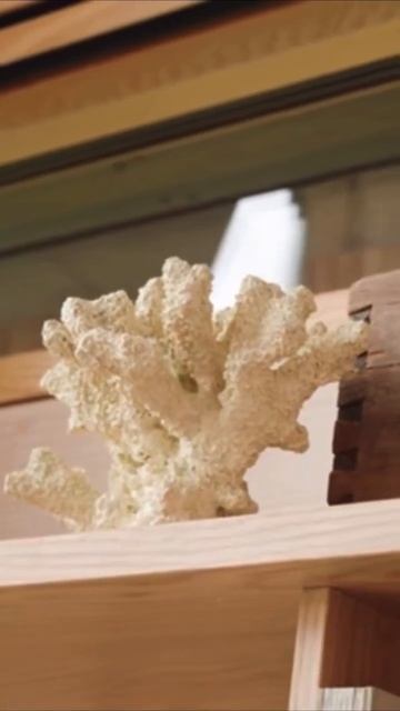 Дополните свой дом с помощью наших услуг по дизайну ин смотреть онлайн