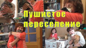 ПУШИСТОЕ ПЕРЕСЕЛЕНИЕ/ ВКУСНЫЙ ЛЕНОЧКИН ПИРОГ /15 мая 2025