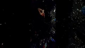 Пыльные Кролики