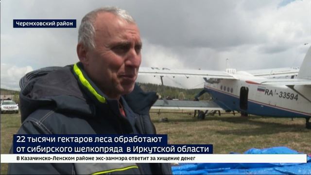 В этом году в Иркутской области от сибирского шелкопряда обрабатывают Зиминское лесничество