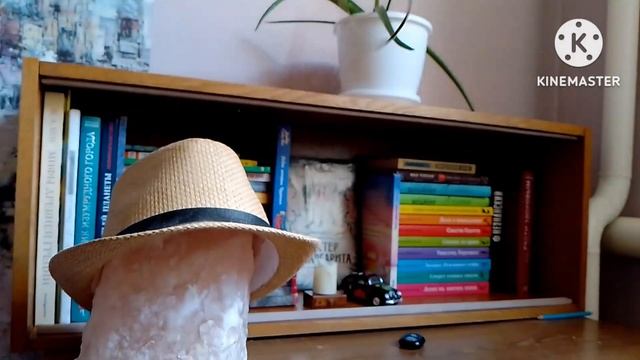 РАССТАНОВКА КНИГ. Кто-то уйдёт? смотреть онлайн