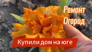 570ч🏡18.05.25-Утеплили крышу/Натяжной потолок/Малосольные огурцы/Растишки от соседей