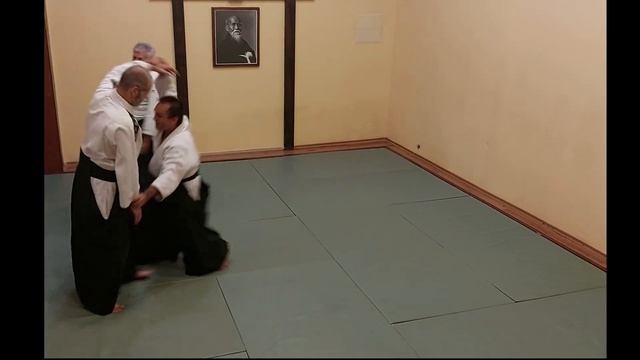 Айкидо (никкё и тенчи-наге)