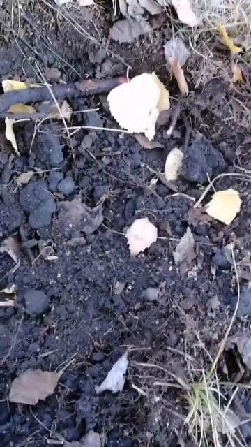 Не может быть) FISHER F11 'DD' приятно удивляет. смотреть онлайн