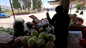 Будет ли долг Тайебы мешать развитию фермы?