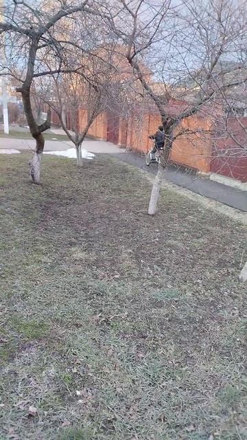 веломопед с двигателем от бензопилы