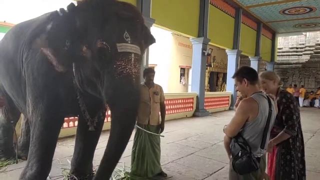 ВИДЕО - 52. ЯТРАХ ДХАРМА ТАТРА ДЖАЙЯ. ТЕМПЛ МАРКАНДЕЙЯ. СЛОН ДАЁТ ДИКШУ.