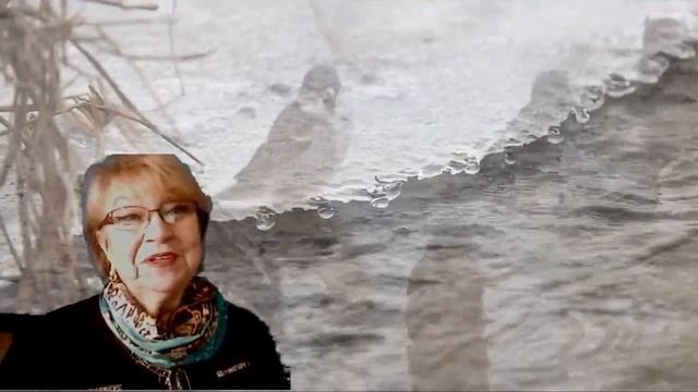 Белый снег мутнеет в блеске — Таким приходит март.. вс?