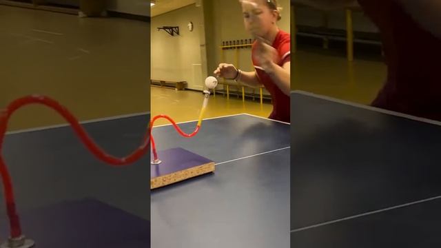 Тренировки #настольныйтеннис #tabletennis #настільнийтеніс
