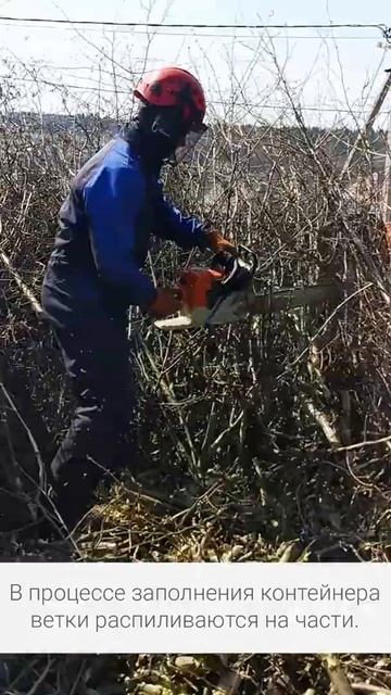 Распиловка веток в контейнере смотреть онлайн