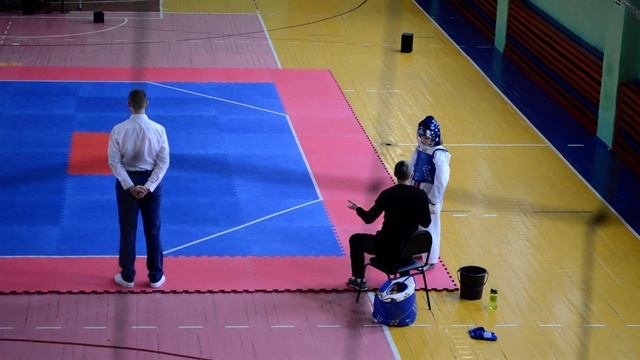 Фестиваль единоборств по Тхэквондо ВТФ СК 