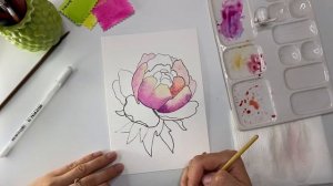 Рисуем пион / акварельный скетчинг