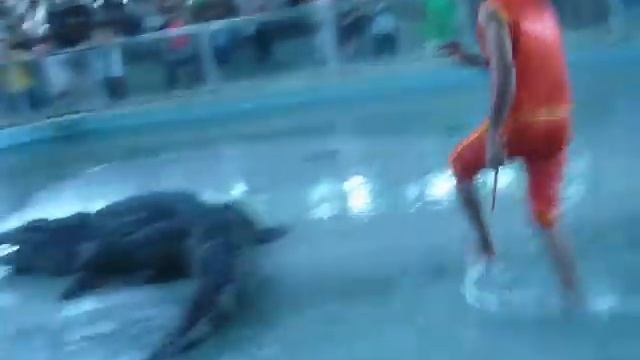 Кор Ко Дайл. смотреть онлайн