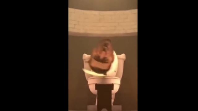 Skibidi toilet season 3 озвучка (Chickens петушок)