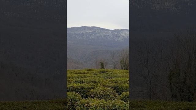 28.02.23 г. Тепло, в горах растаял снег! смотреть онлайн