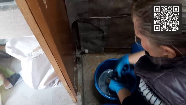 Делаем сами. Парник для баклажан и летний курятник с выгулом. смотреть онлайн