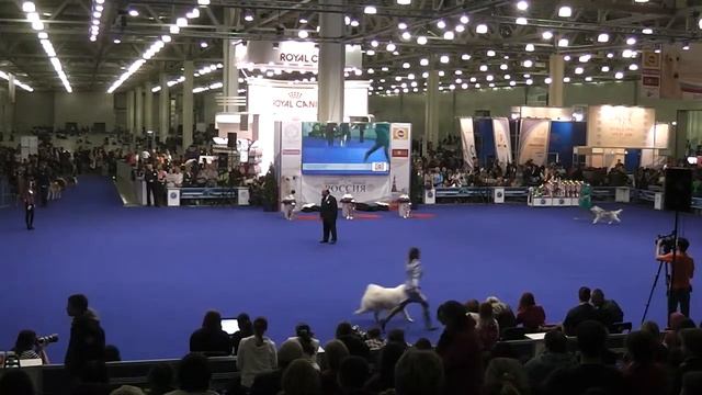 Россия 2014-11-09 17:05:22 смотреть онлайн