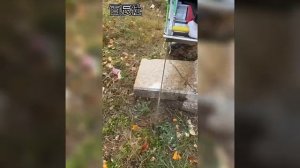 Цепная пила по бетону