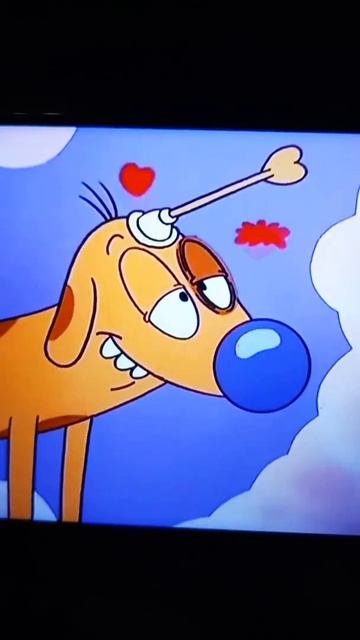 Волк , бодо бородо и котопёс смотреть онлайн