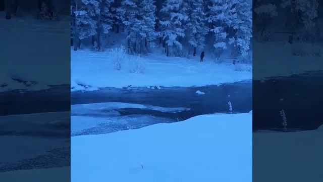 Лукоморье смотреть онлайн