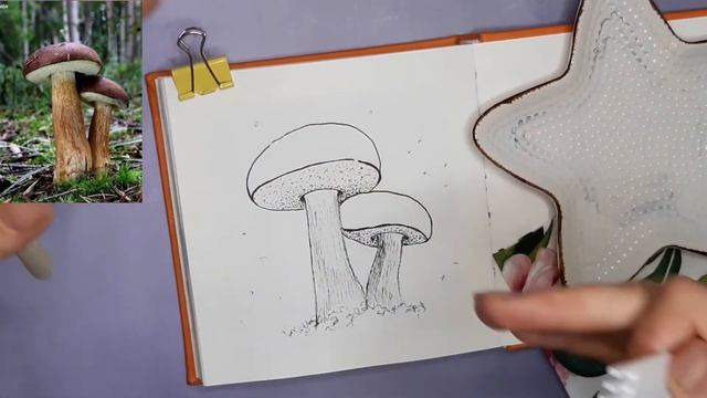 Рисуем вкусный гриб акварелью урокиакварели урокирисования акварельныйскетчинг