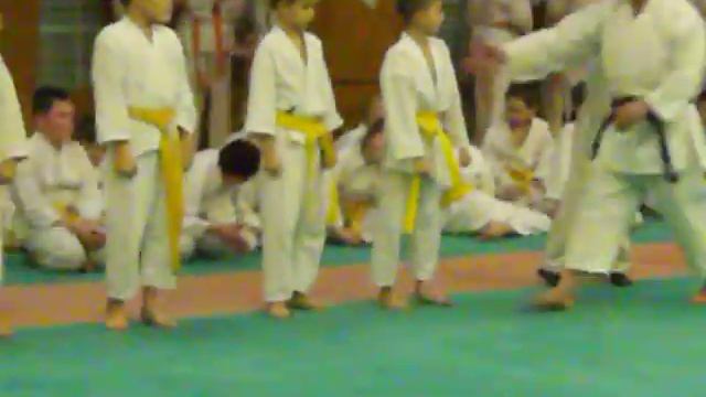 аттестация на 7 кю (оранжевый пояс) смотреть онлайн