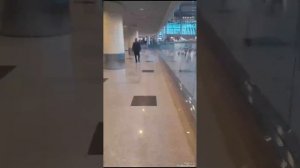 Обзор по аэропорту Домодедово